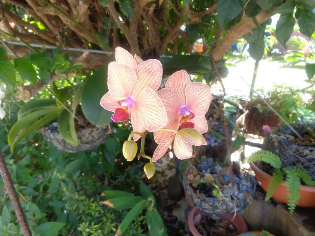 Residence Madelia Port-Louis Guadeloupe